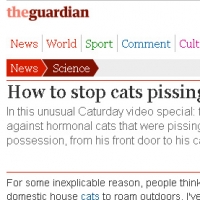 video-how-to-stop-cats-pissing-on-your-car-grrlscientist-science-theguardian-com-short